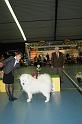 kerstshow 2008 052